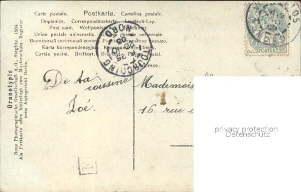 Foto NPG Nr. 406/10 Frau Hut Oranotypie – Bild 2
