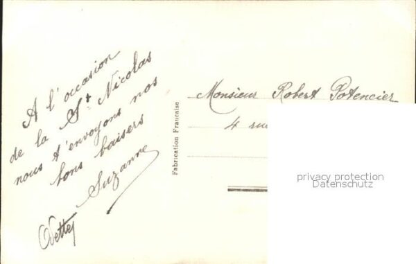 Blumen Nelke – Bild 2