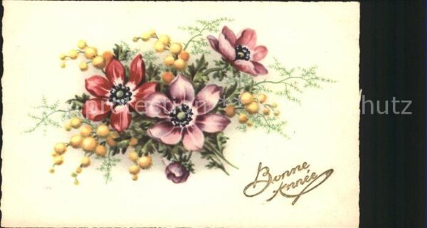 Blumen Anemonen Bonne Annee Neujahr