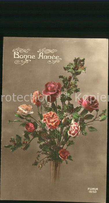 Rosen Nelken Bonne Anne Foto-Furia-Nr. 1950