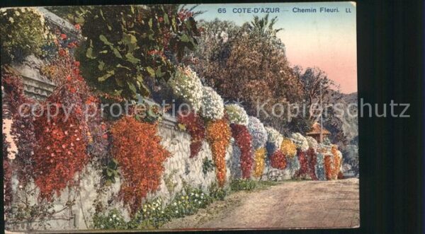 Blumen Cote d_Azur Chemin Fleuri