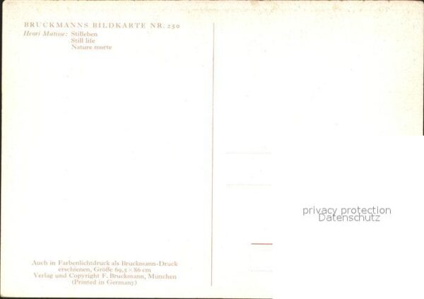 Verlag Bruckmann Nr. 250 Henri Matisse Stillleben Blumenstoc – Bild 2