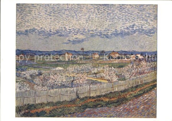 Van Gogh Vincent The Orchard