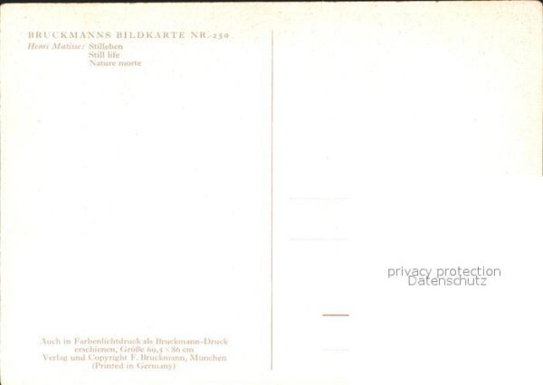 Verlag Bruckmann Nr. 250 Henri Matisse Stillleben Blumenstoc – Bild 2