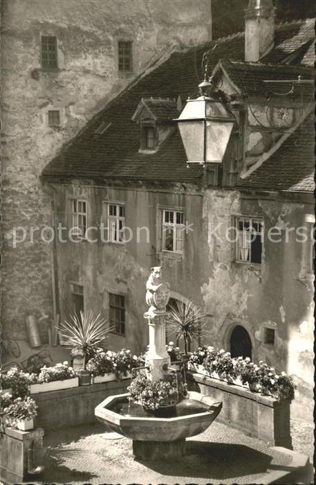 Meersburg Bodensee Bärenbrunnen