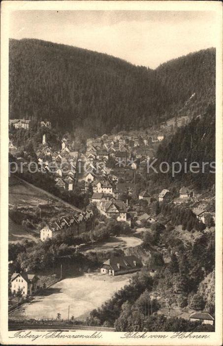 Triberg Schwarzwald Blick vom Hohnen