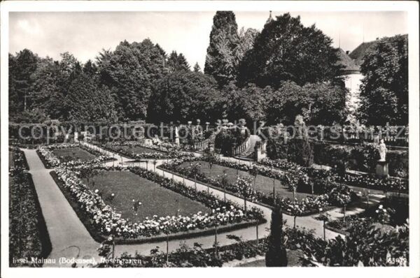 Insel Mainau rosengarten