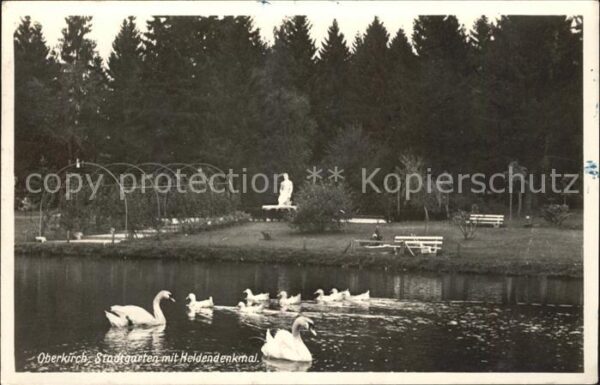 Oberkirch Baden Stadtgarten Teich Schwäne Heldendenkmal