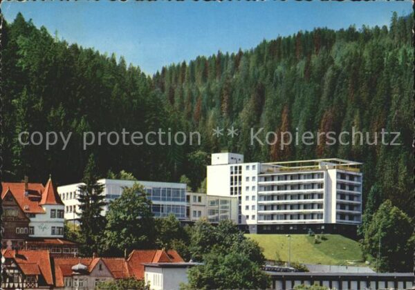 Triberg Schwarzwald Hotel Badener Hof