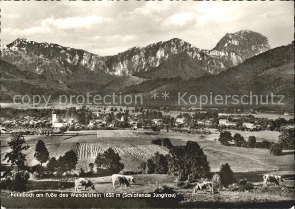 Feilnbach