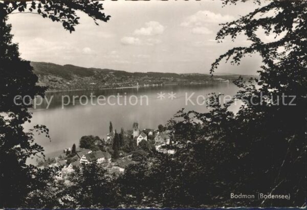 Bodman-Ludwigshafen