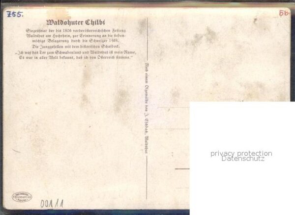 Waldshut Tiengen Rhein Chilbi Umzug Künstlerkarte – Bild 2