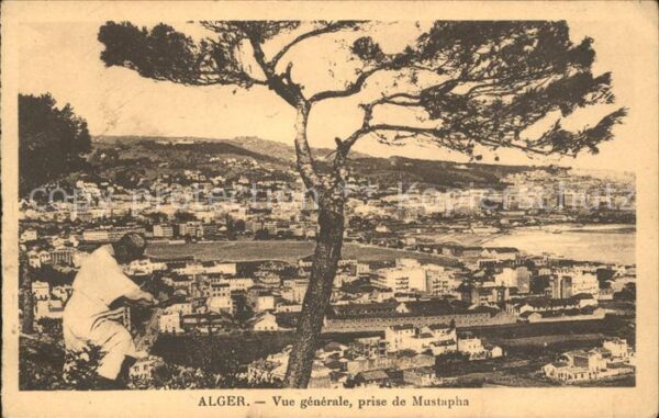 Alger Algerien Vue generale prise de Mustapha