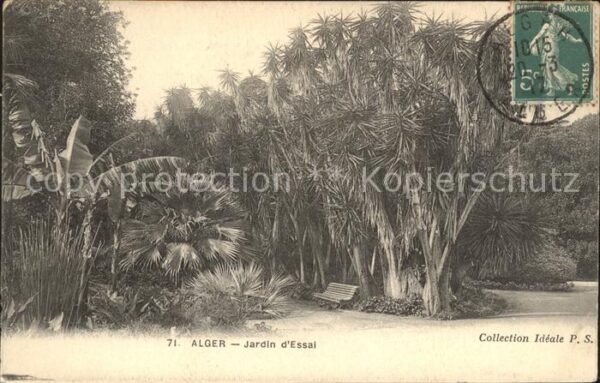 Alger Algerien Jardin d_Essai Stempel auf AK