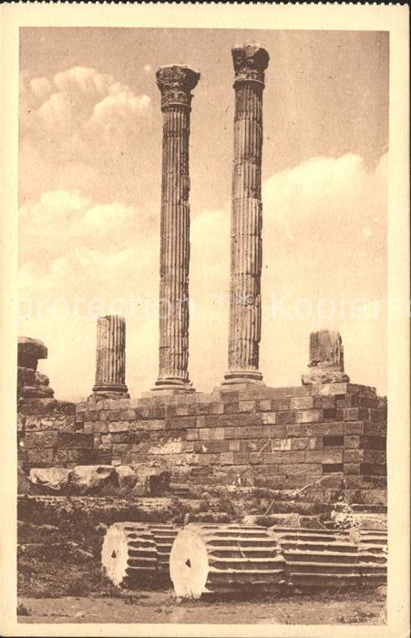 Timgad Ruines romaines Colonnes du Promaos du