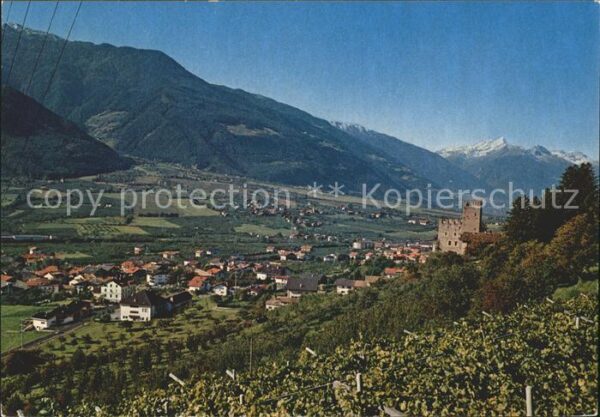 Naturns Panorama Vinschgau Burgruine Alpen