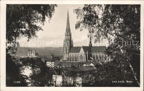 Linz Donau Münster