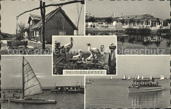 Neusiedl See Ziehbrunnen Segelschiffe Motorboot Stör