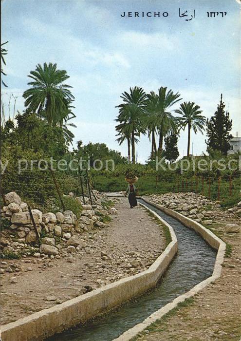 Jericho Israel Eliasbrunnen Fontaine d_Elisha