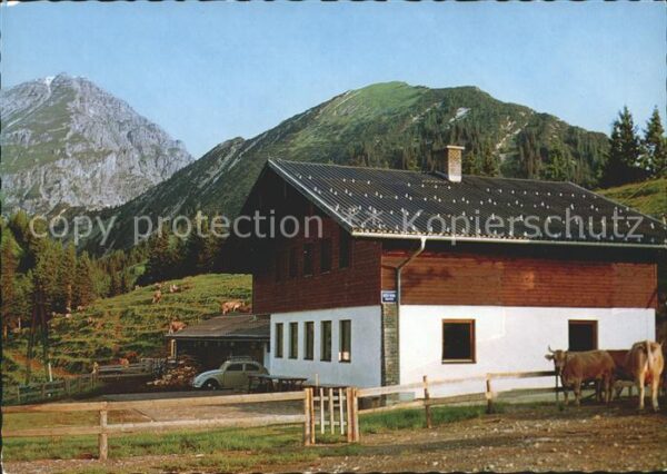 Berwang Tirol Heiterwanger Hochalm mit Thaneller Almw