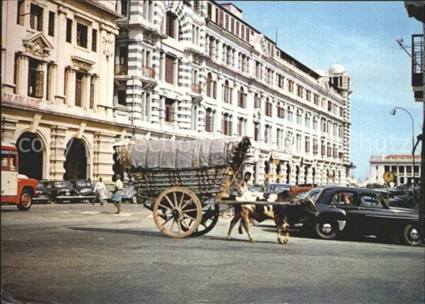 Ceylon Sri Lanka Bullock Carts