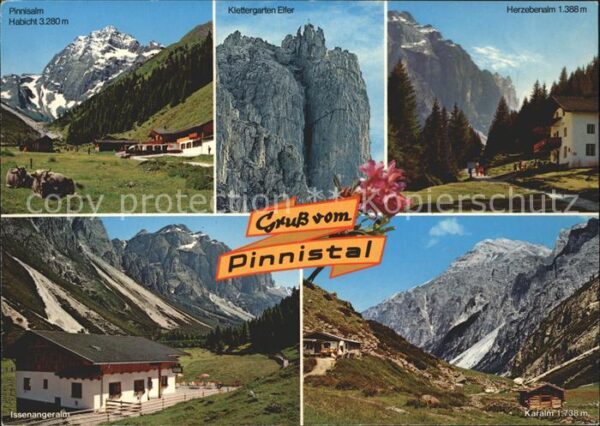 Pinnistal Klettergarten Almen Alpenblume Habicht
