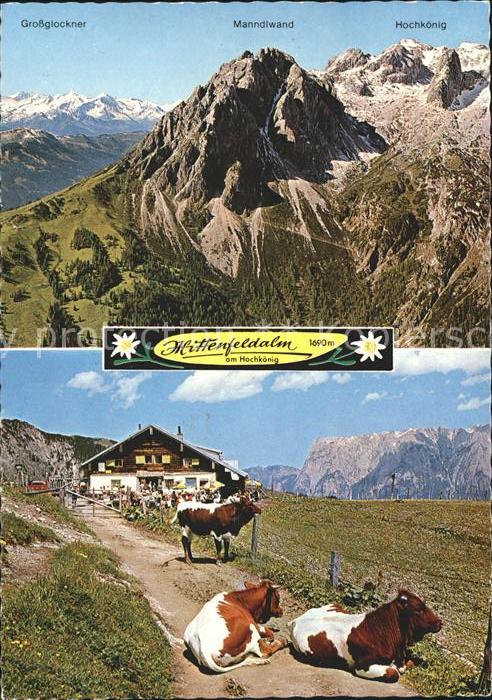 Muehlbach Hochkoenig Mittenfeldalm Blick gegen Tennengebirge