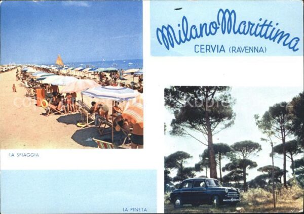 Milano Marittima Cervia Ravenna Seeküste Fichtenwald