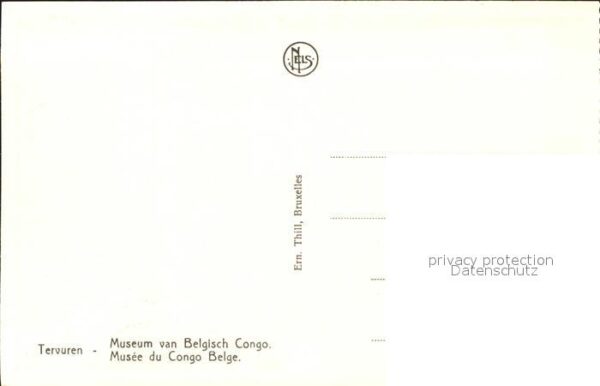 Elefant Tervuren Musee du Congo Belge – Bild 2