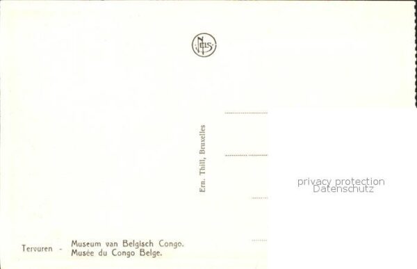 Tiere Kuhantilope Tervuren Musee du Congo Bel – Bild 2