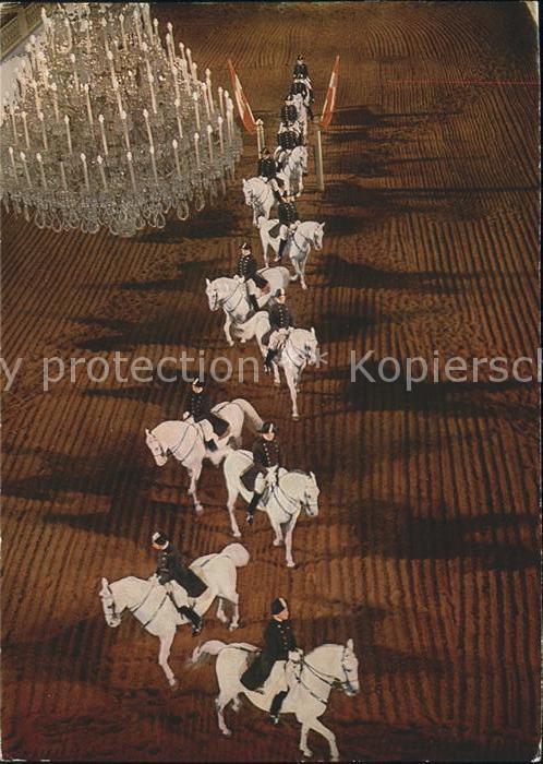 Reitsport Pferdesport Pferderennen Spanische Reitschule Wien Schulquadrill