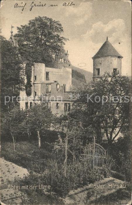 Hirsau Abtei mit der Ulme