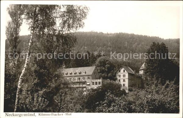 Neckargemuend Kümmelbacher Hof