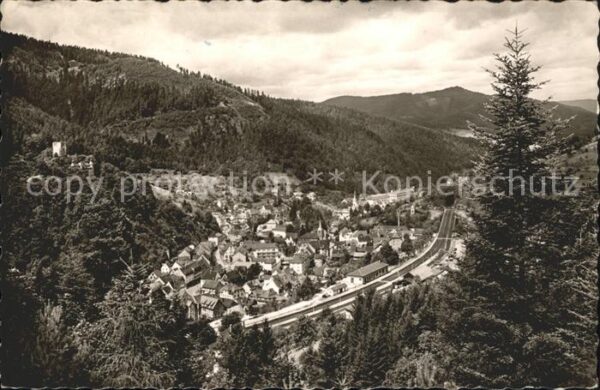 Hornberg Schwarzwald Totalansicht mit Schloss