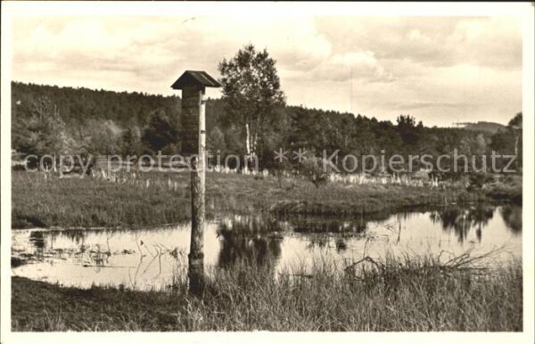 Schwenningen Neckar Neckarursprung im Schwenninger Moos