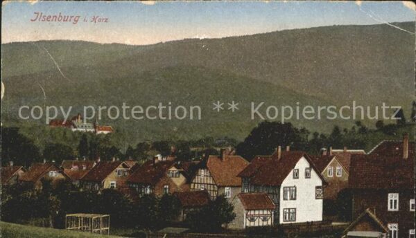 Ilsenburg Harz Ortsansicht