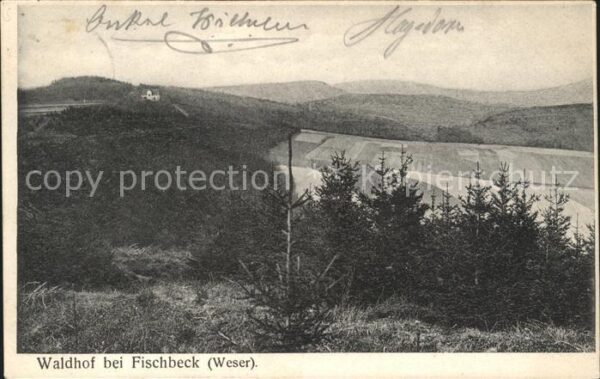 Fischbeck Weser Waldhof