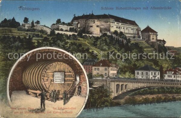 Tuebingen Schloss Hohentübingen mit Alleenbrücke