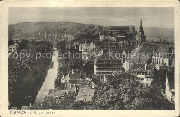 Tuebingen Neckarpartie Ortsblick