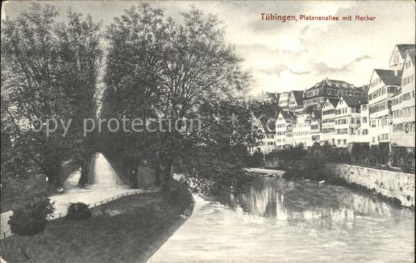 Tuebingen Platanenallee Neckarpartie