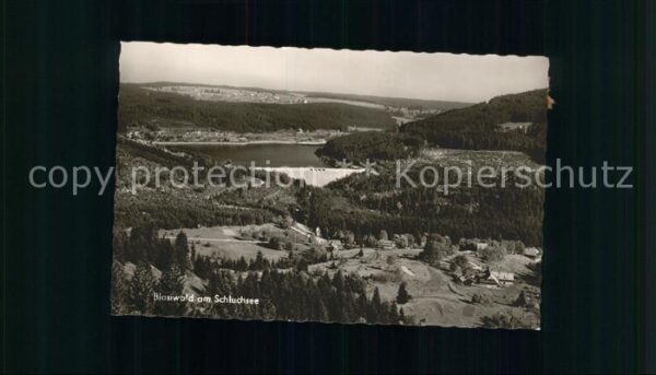 Blasiwald Schluchsee Panorama