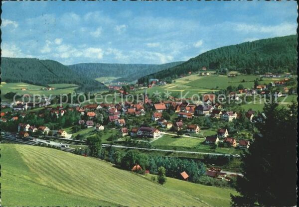 Baiersbronn Schwarzwald Gesamtansicht