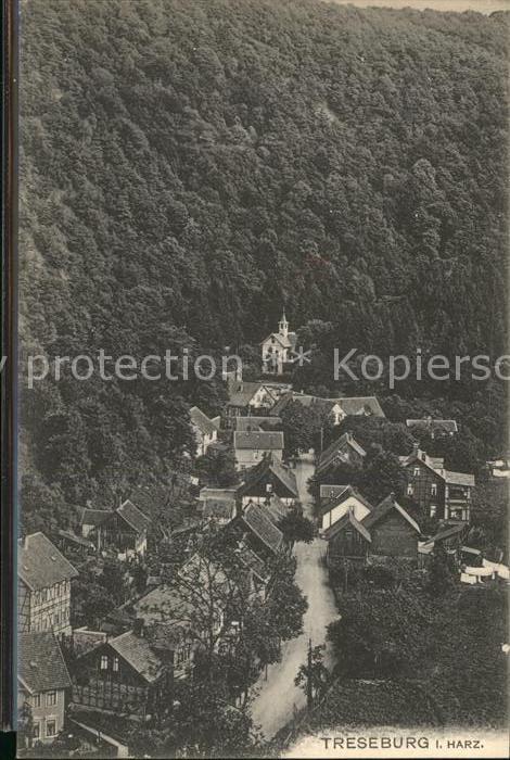 Treseburg Harz Ortsblick