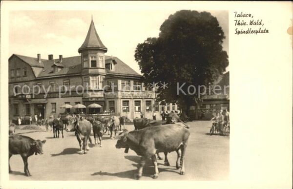 Tabarz Spindlerplatz Viehauftrieb