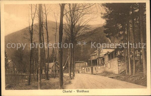 Okertal Waldhaus