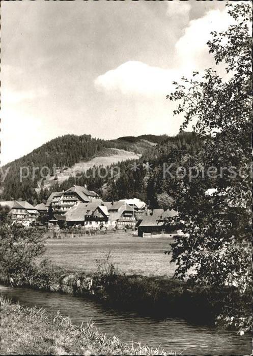 Menzenschwand Teilansicht