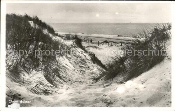 Bergen aan Zee Onze duinen Dünen
