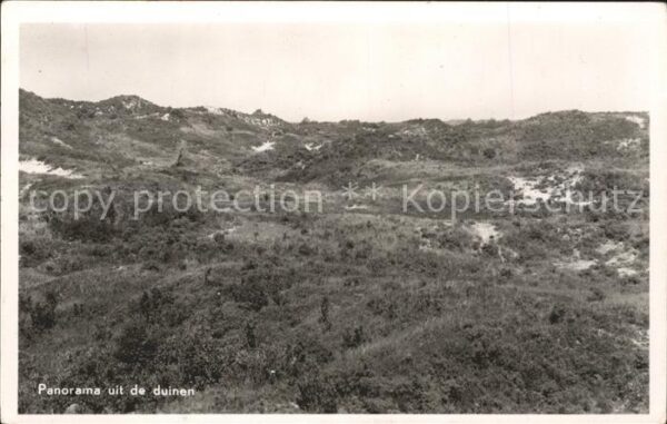 Bergen aan Zee Panorama uit de duinen D?nen