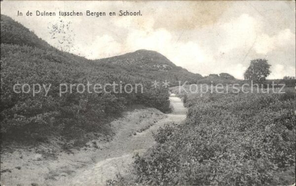 Bergen aan Zee Duinen tusschen Bergen en Schoorl