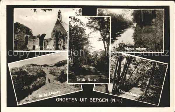 Bergen aan Zee Ruine Kerk Bossen Mosselenbuurt Duinen